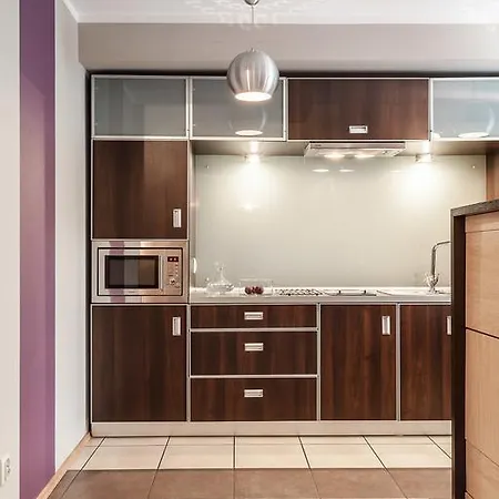 דירה Absyntapart Biskupia