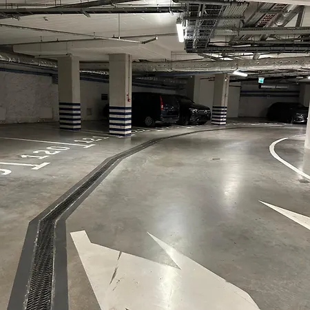 Absyntapart Biskupia *