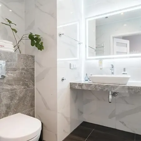 公寓 Absyntapart Biskupia